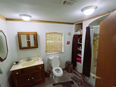 Charming Mena Home with Modern Upgrades & Endless Potential! - photo 17