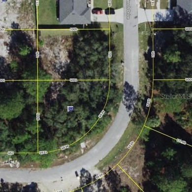 Lake Marion - Polk County Lot For Sale in Poinciana Florida