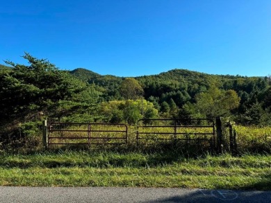 Lake Acreage For Sale in Dublin, Virginia