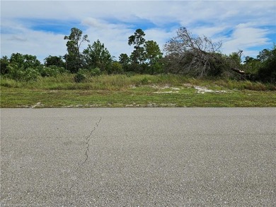 Check out this vacant, partially cleared residential lot, ready - photo 2