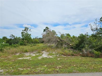 Check out this vacant, partially cleared residential lot, ready - photo 3