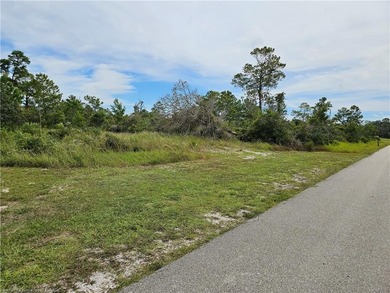 Check out this vacant, partially cleared residential lot, ready - photo 4