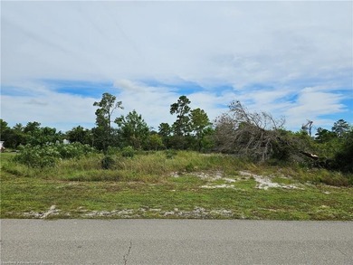 Check out this vacant, partially cleared residential lot, ready - photo 5