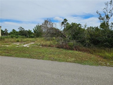 Check out this vacant, partially cleared residential lot, ready - photo 6