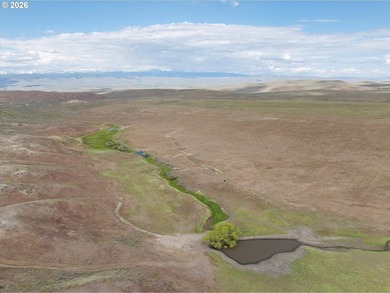 Updated Price! Virtue Flat Range Ground | 240+/- Acres | Eastern - photo 11