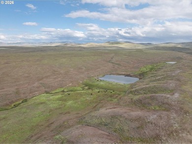 Updated Price! Virtue Flat Range Ground | 240+/- Acres | Eastern - photo 12