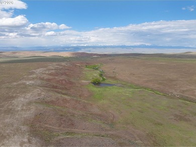 Updated Price! Virtue Flat Range Ground | 240+/- Acres | Eastern - photo 13