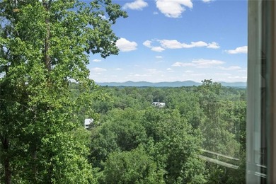 Summer fun on Lake Lanier awaits with this NEW home with a - photo 28