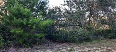 Lake Lot For Sale in Indian Lake Estates, Florida