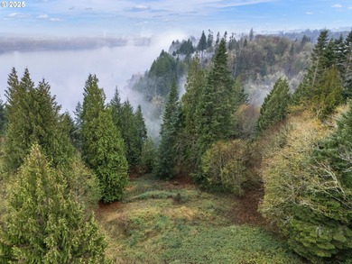 Lake Lot For Sale in Longview, Washington