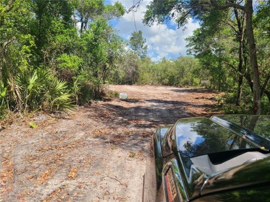 (private lake, pond, creek) Acreage For Sale in Deltona Florida