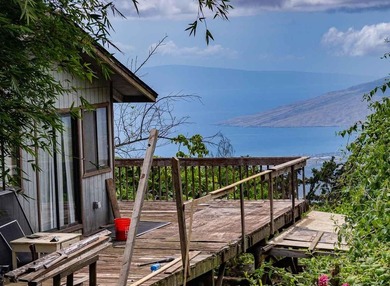 20 Kuulani Pl, Kula offers two beautiful wooded acres in the - photo 12