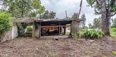20 Kuulani Pl, Kula offers two beautiful wooded acres in the - photo 14