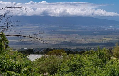 20 Kuulani Pl, Kula offers two beautiful wooded acres in the - photo 34