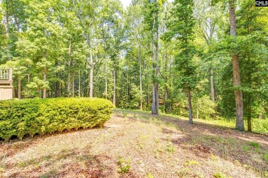 Tucked away on a serene 3.2-acre lot in sought-after Lexington - photo 35