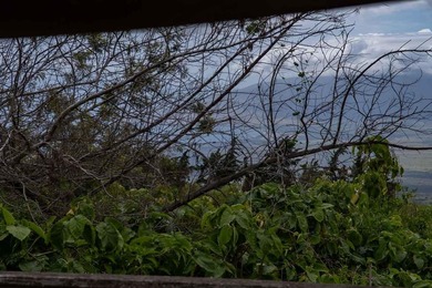 20 Kuulani Pl, Kula offers two beautiful wooded acres in the - photo 35