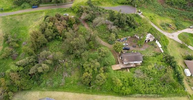 20 Kuulani Pl, Kula offers two beautiful wooded acres in the - photo 37