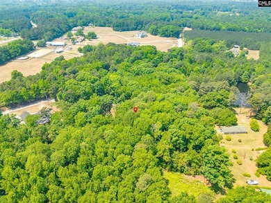 Tucked away on a serene 3.2-acre lot in sought-after Lexington - photo 38