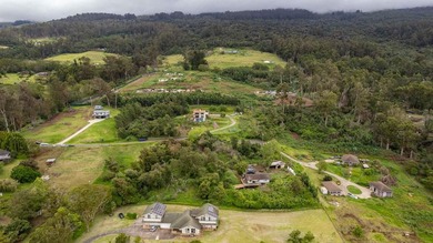 20 Kuulani Pl, Kula offers two beautiful wooded acres in the - photo 38