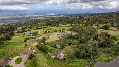 20 Kuulani Pl, Kula offers two beautiful wooded acres in the - photo 44