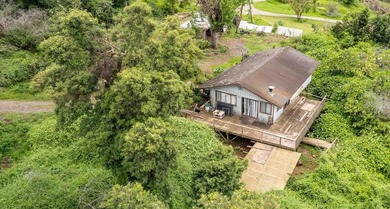 20 Kuulani Pl, Kula offers two beautiful wooded acres in the - photo 48