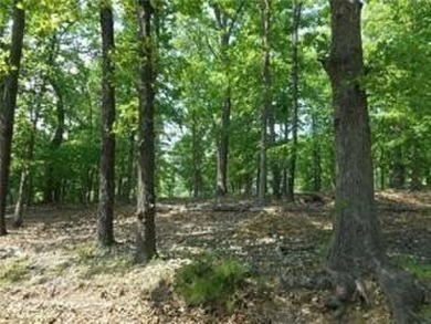 Lake Lot For Sale in Eureka Springs, Arkansas