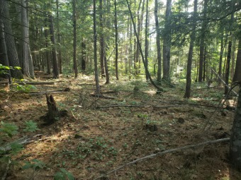 Sandy River  Acreage For Sale in Strong Maine