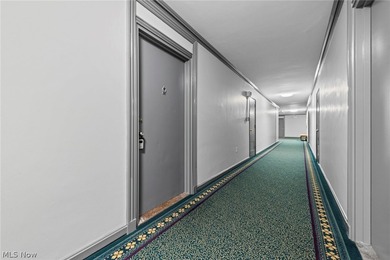 Experience breathtaking, panoramic views of Downtown Cleveland - photo 8