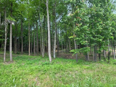 4 Acres to Build Your Dream Home Close to the Lake! - photo 5