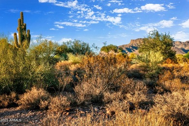 LOWEST PRICE LOT IN SUPERSTITION MOUNTAIN! CUSTOM HOMESITE. NO - photo 11