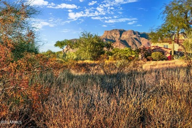 LOWEST PRICE LOT IN SUPERSTITION MOUNTAIN! CUSTOM HOMESITE. NO - photo 12