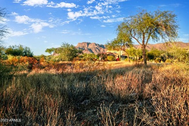 LOWEST PRICE LOT IN SUPERSTITION MOUNTAIN! CUSTOM HOMESITE. NO - photo 13