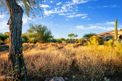 LOWEST PRICE LOT IN SUPERSTITION MOUNTAIN! CUSTOM HOMESITE. NO - photo 14
