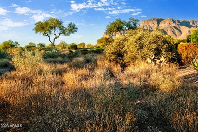 LOWEST PRICE LOT IN SUPERSTITION MOUNTAIN! CUSTOM HOMESITE. NO - photo 15