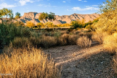 LOWEST PRICE LOT IN SUPERSTITION MOUNTAIN! CUSTOM HOMESITE. NO - photo 16