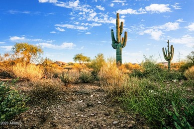 LOWEST PRICE LOT IN SUPERSTITION MOUNTAIN! CUSTOM HOMESITE. NO - photo 17