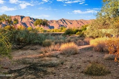 LOWEST PRICE LOT IN SUPERSTITION MOUNTAIN! CUSTOM HOMESITE. NO - photo 18