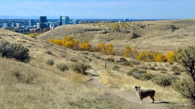 Live above it all in Highlands Cove, North Boise's premier - photo 21