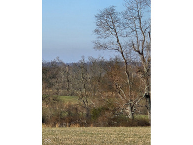 229 acres of Scenic, rolling, beautiful private land waiting for - photo 22