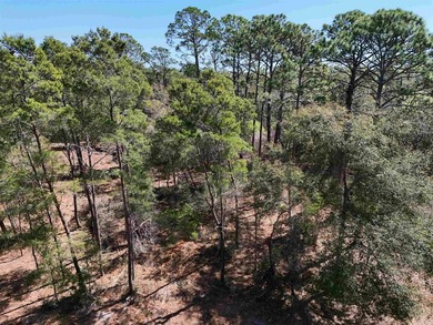 New River Acreage For Sale in Carabelle Florida