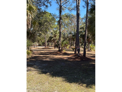 (private lake, pond, coastal) Lot For Sale in Old Town Florida