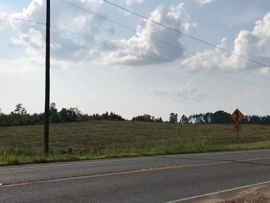 Toledo Bend Reservoir Lot For Sale in Many Louisiana