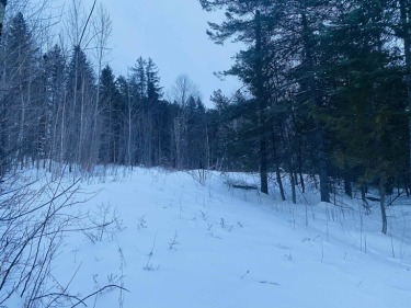 Lake Parker Lot For Sale in Glover Vermont