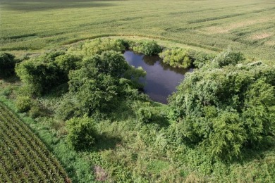 (private lake, pond, creek) Acreage For Sale in Palacios Texas