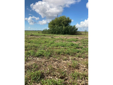 This farm has been in row crop production for almost 50 years - photo 3