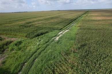 This farm has been in row crop production for almost 50 years - photo 6