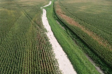 This farm has been in row crop production for almost 50 years - photo 7