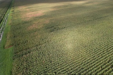This farm has been in row crop production for almost 50 years - photo 8