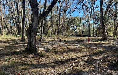 Suwannee River Lot For Sale in Old Town Florida