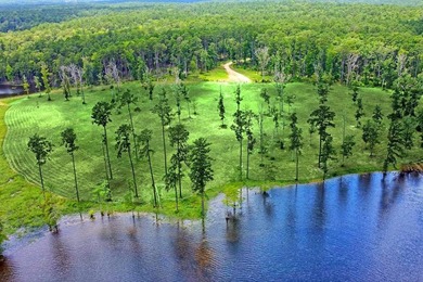 Discover Eagles Landing Estates, an upscale lakefront - photo 12
